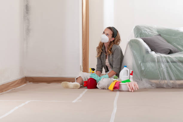 Reliable Mold Testing contractor in Fork, MD by WQB Mold Removal